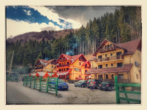 Hotels in Rucar